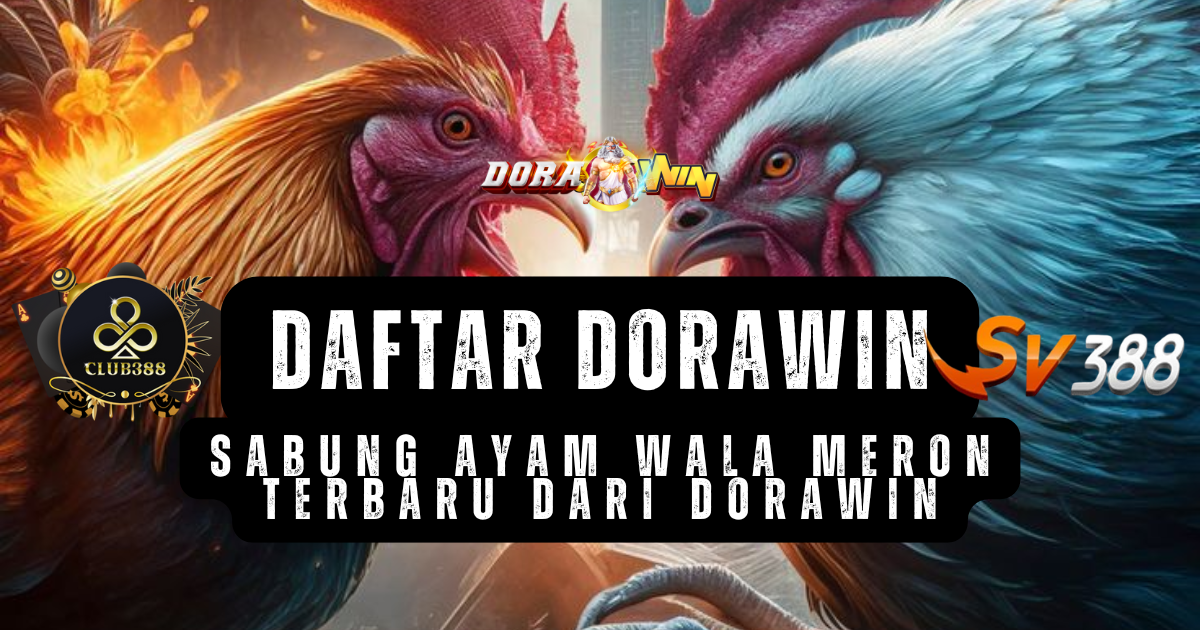 Sabung Ayam Wala Meron Terbaru dari Dorawin
